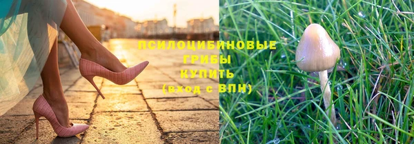 кокс Арсеньев