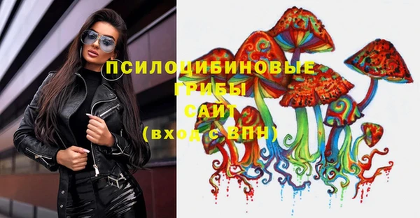 кокс Арсеньев