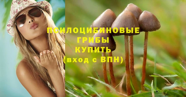 кокс Арсеньев