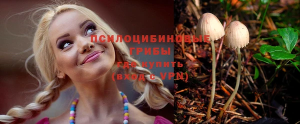 кокс Арсеньев
