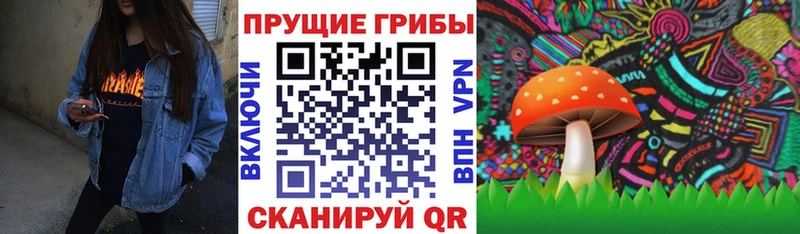 Псилоцибиновые грибы ЛСД  где можно купить   Балашиха 